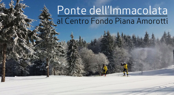 Tutto pronto per il Ponte dell'Immacolata!