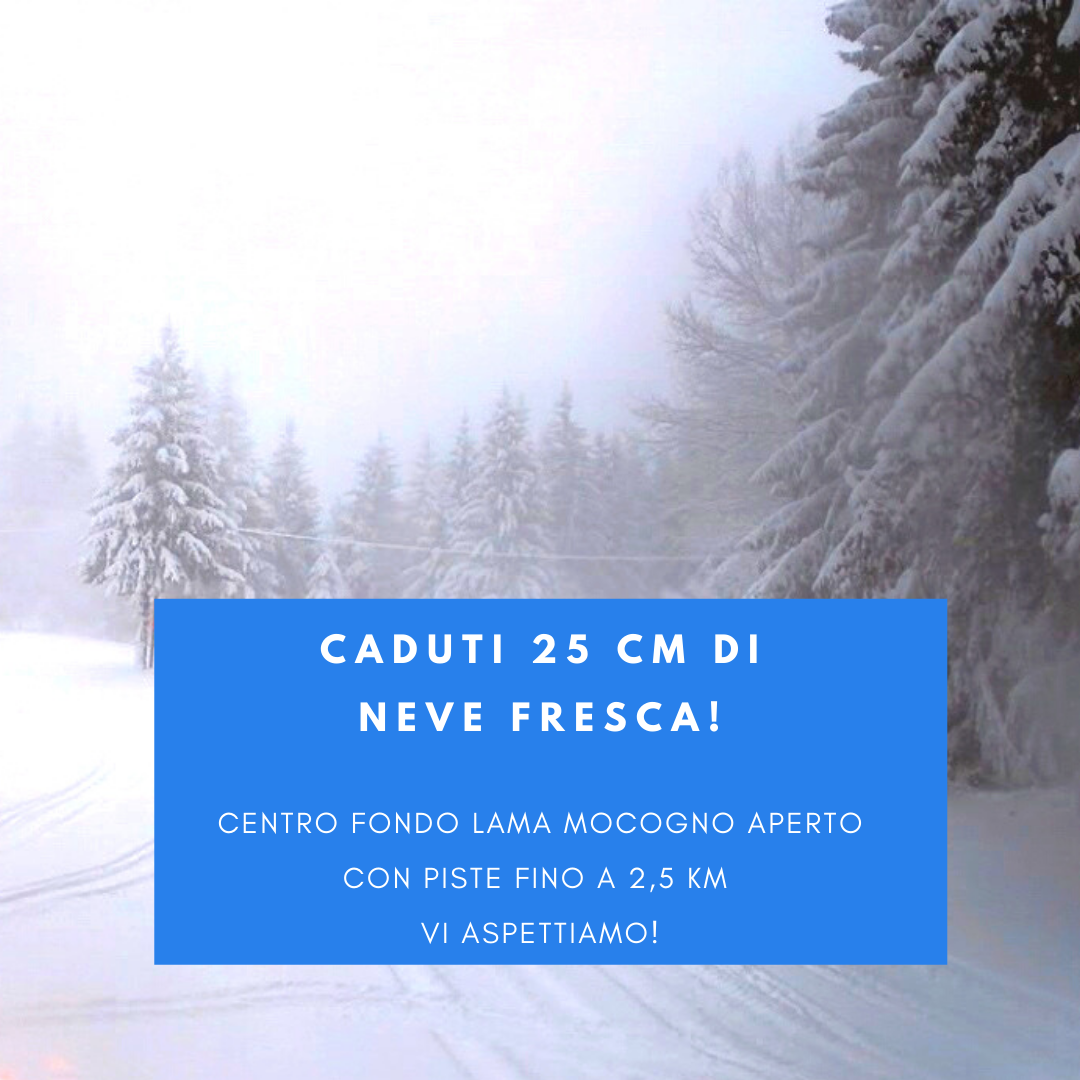 Neve fresca e piste fino a 2,5km aperte