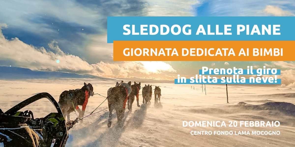 SLEDDOG alle Piane di Mocogno, SOLD OUT domenica 20 febbraio 2022. A breve nuova data.
