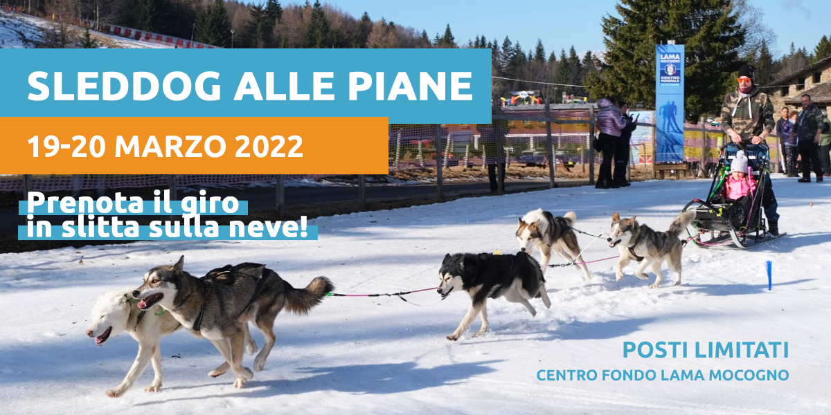 SLEDDOG alle Piane di Mocogno, sabato 19 e domenica 20 marzo 2022