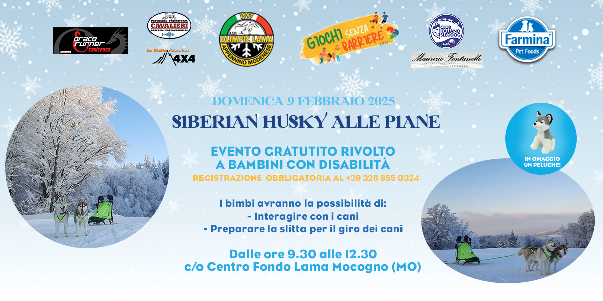 Siberian Husky alle Piane di Mocogno
